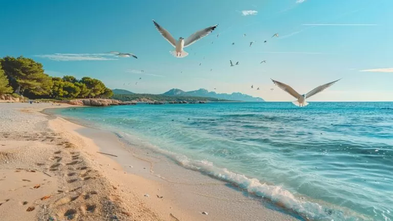 Pourquoi ces plages de Sanary, autrefois prisées, sont-elles désormais interdites à la baignade ?