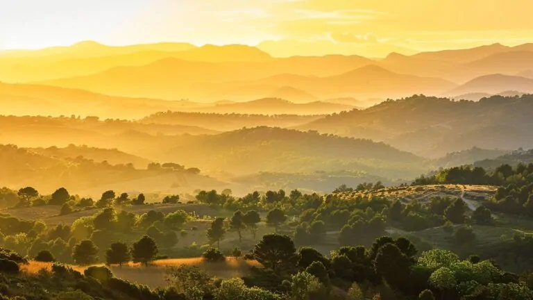 Découvrez les 3 panoramas à couper le souffle en Provence-Alpes-Côte d'Azur
