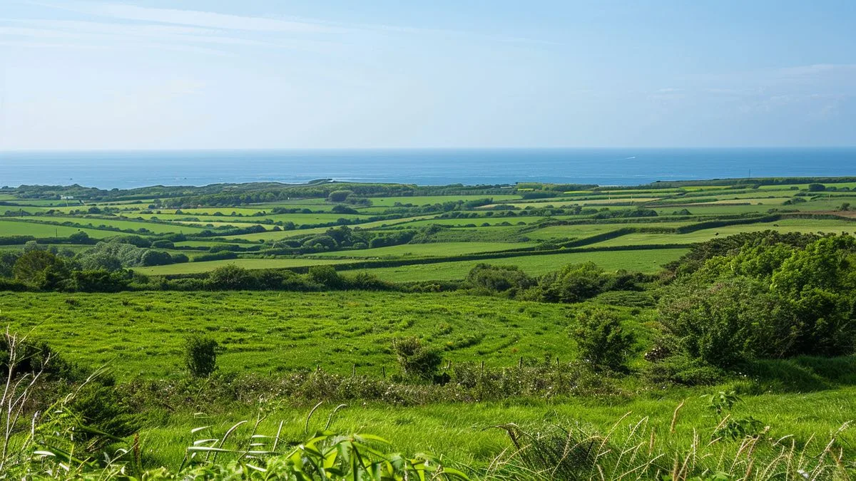 À la croisée des horizons : explorez ce pittoresque village de Seine-Maritime, entre paysages marins et campagnes luxuriantes