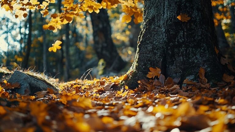 Immortaliser la beauté des arbres remarquables des Alpes-Maritimes : une initiative inspirante