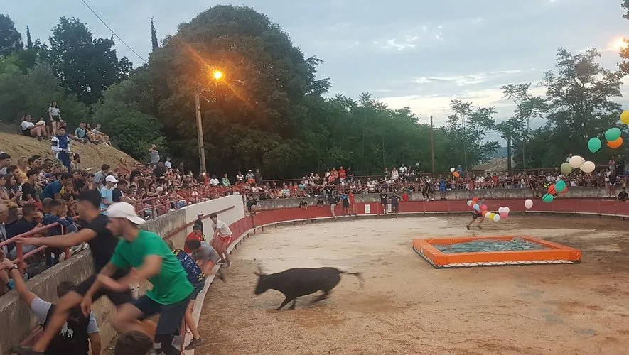 découvrez les fêtes votives d'entressen, un événement traditionnel riche en couleurs et en émotions. plongez dans l'ambiance festive avec des spectacles, des défilés et des activités pour toute la famille. ne manquez pas cette célébration qui met en valeur la culture et les traditions locales.