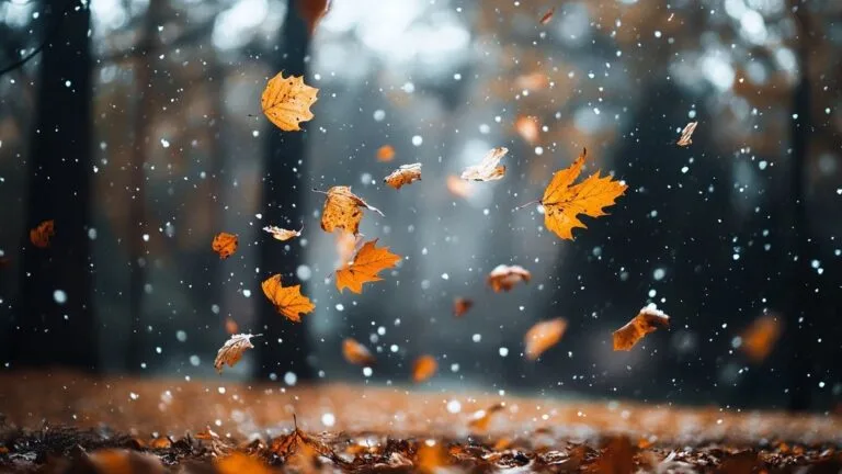 Meteo de este martes en los Alpes Marítimos: primeros copos, lluvia y vientos fuertes en perspectiva