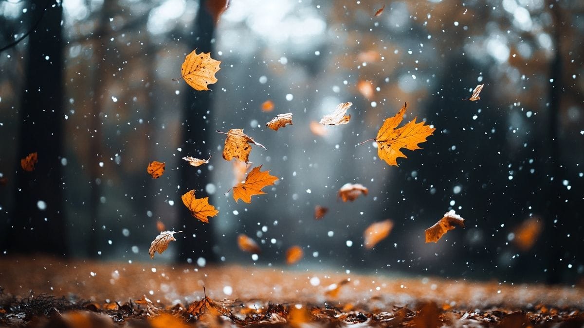 Meteo de este martes en los Alpes Marítimos: primeros copos, lluvia y vientos fuertes en perspectiva