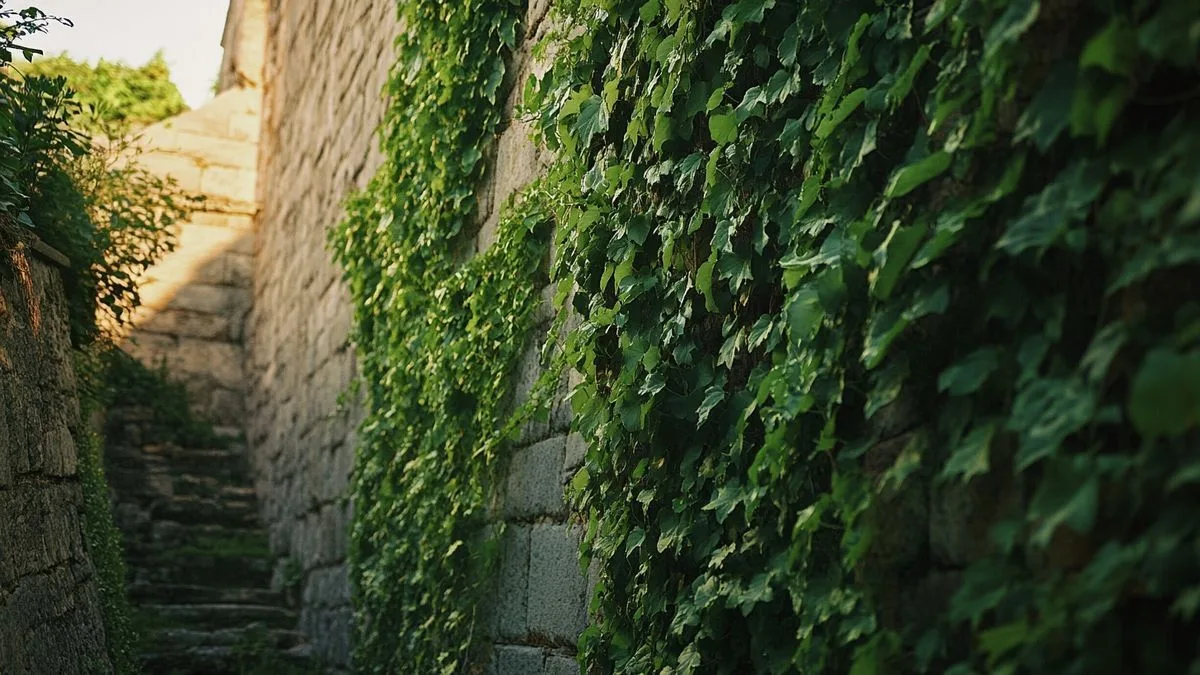 Un château mystérieux aux abords du parc naturel régional de la Narbonnaise en Méditerranée : un lieu de légendes et de fantômes