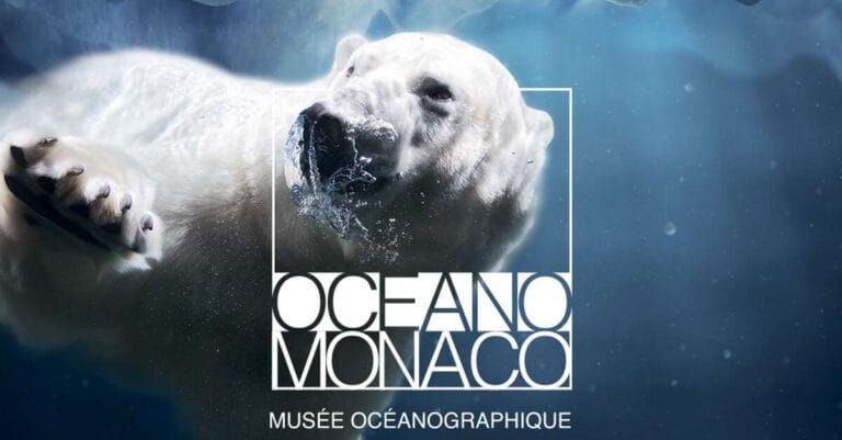 découvrez l'exposition fascinante sur les missions polaires, où science et aventures se rencontrent. plongez dans l'univers des explorations extrêmes, des recherches climatiques et des défis humains au cœur des régions glaciales. une expérience inédite à ne pas manquer !