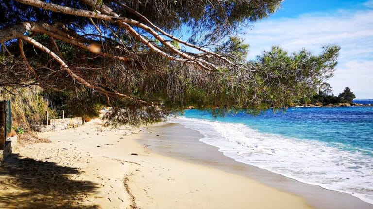 Plage de la Fossette par le chemin du littoral depuis le Lavandou - Randonnée - Sortir Paca